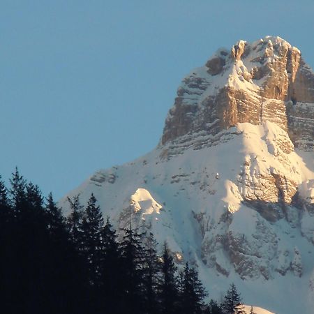 Affittacamere Pizzeria Marmolada Rocca Pietore Dış mekan fotoğraf