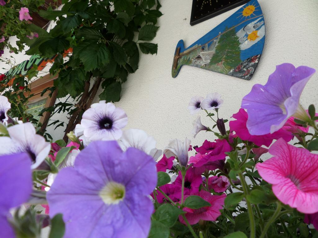 Affittacamere Pizzeria Marmolada Rocca Pietore Dış mekan fotoğraf